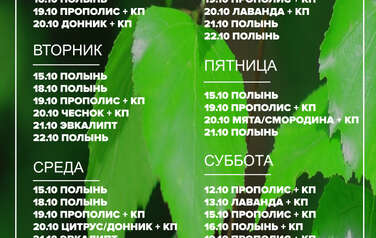 График пара 01.06.2026 г. - 07.06.2026 г.
