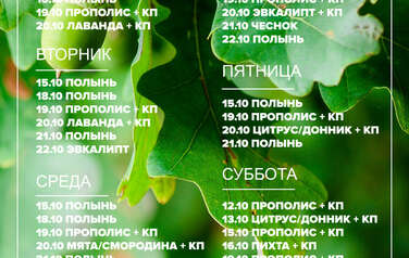 График пара 25.05.2026-31.05.2026