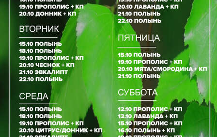 График пара 27.07.2026 г. - 02.08.2026 г.