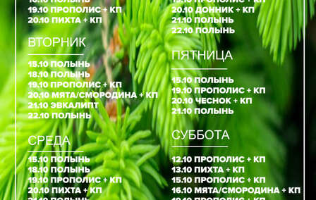 График пара 31.08.2026 г. - 06.09.2026 г.