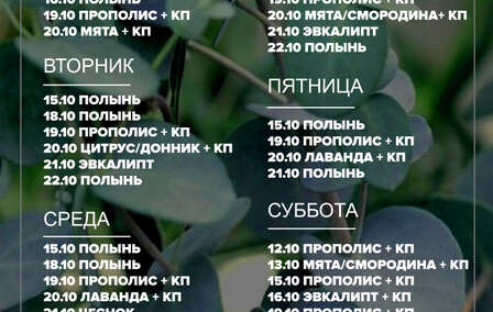 График пара 15.06.2026 г. - 21.06.2026 г.