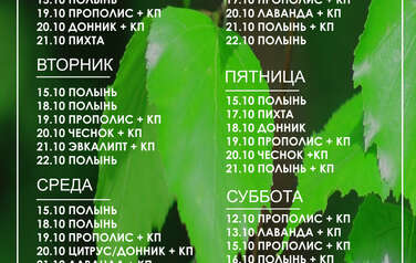 График пара 21.09.2026 г. - 27.09.2026 г.