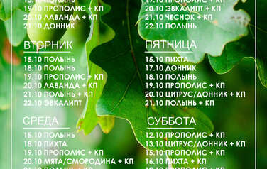 График пара 14.09.2026 г. - 20.09.2026 г.