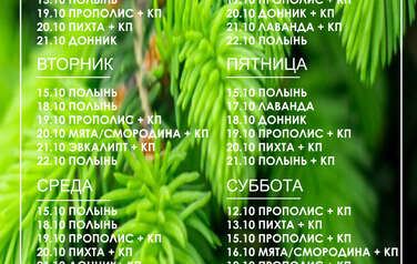 График пара 28.09.2026 г. - 04.10.2026 г.