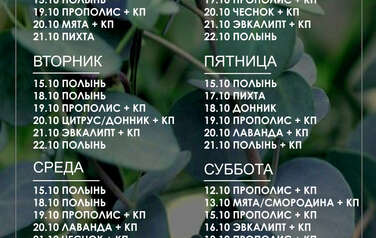 График пара 07.09.2026 г. - 13.09.2026 г.